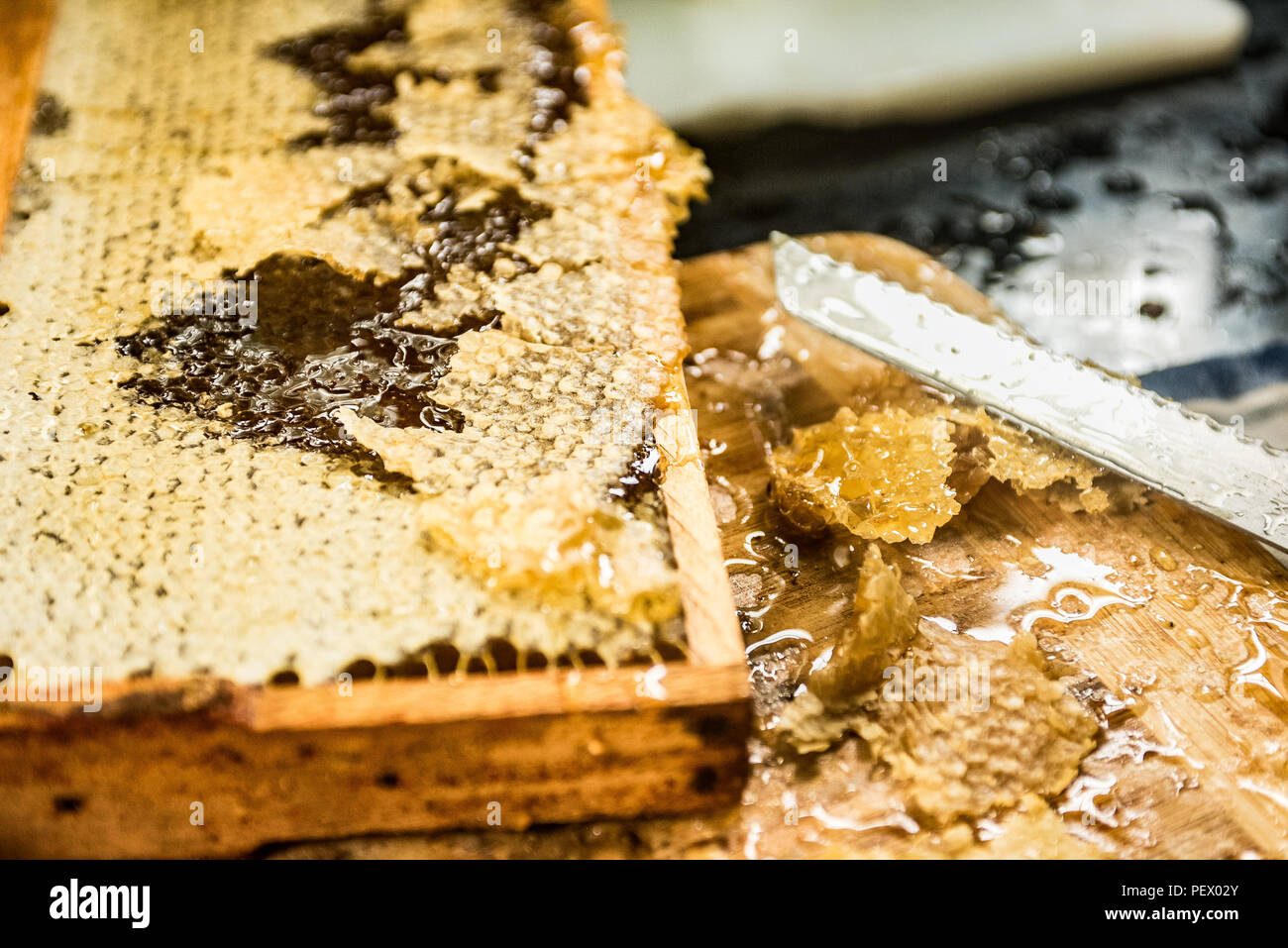 harvesting honey at home Stock Photo Alamy