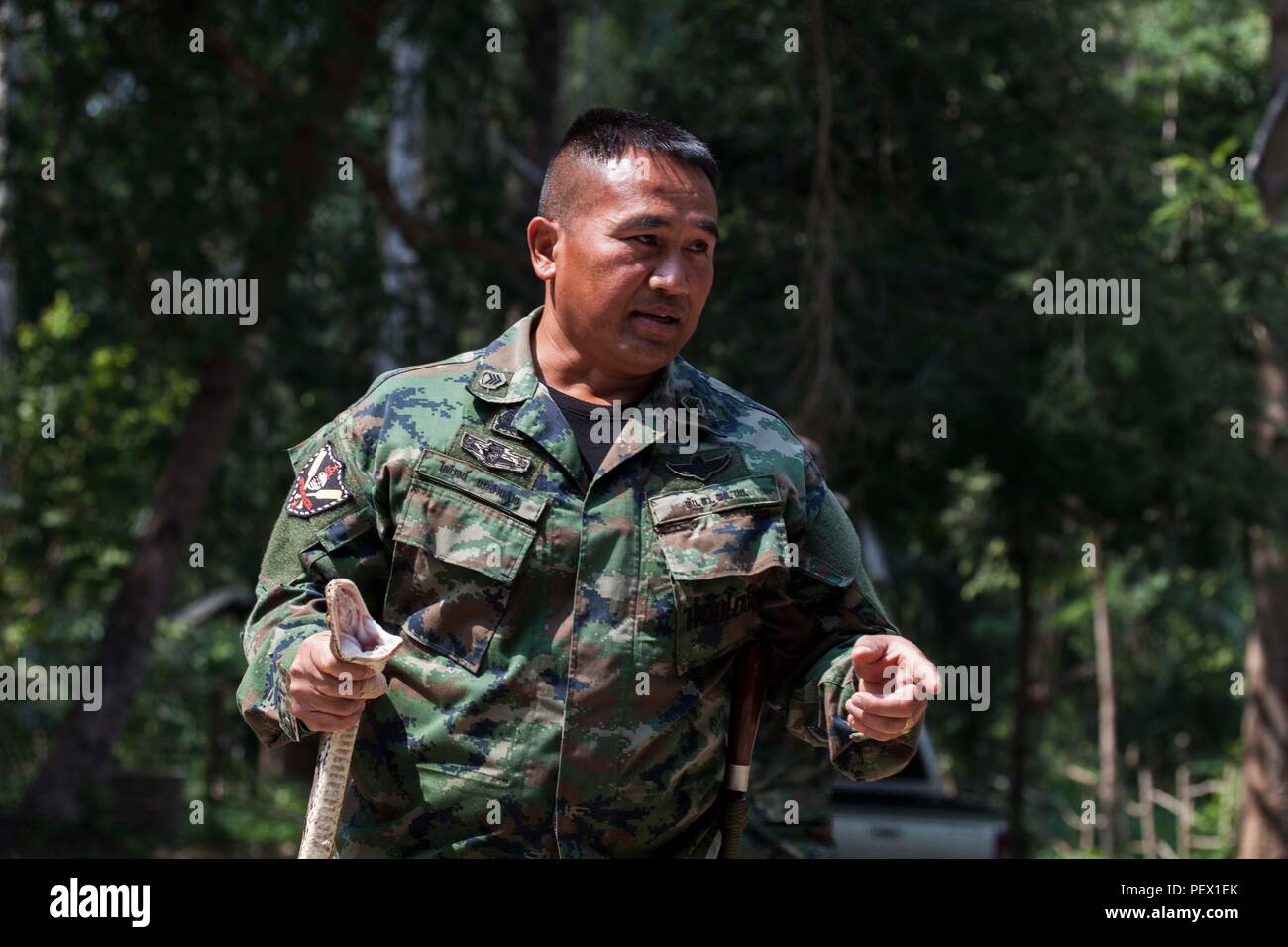 Royal Thai Marine Cpo1 Prasansai The Snakeman Pairoj Shows U S Marines With 31st Marine Expeditionary Unit Members Of The Republic Of Korea Marines And The Royal Thai Marines The Proper Way To Royal Thai Marine Cpo1 Prasansai The Snakeman Pairoj Shows U S Marines With 31st Marine Expeditionary Unit Members Of The Republic Of Korea Marines And The Royal Thai Marines The Proper Way To