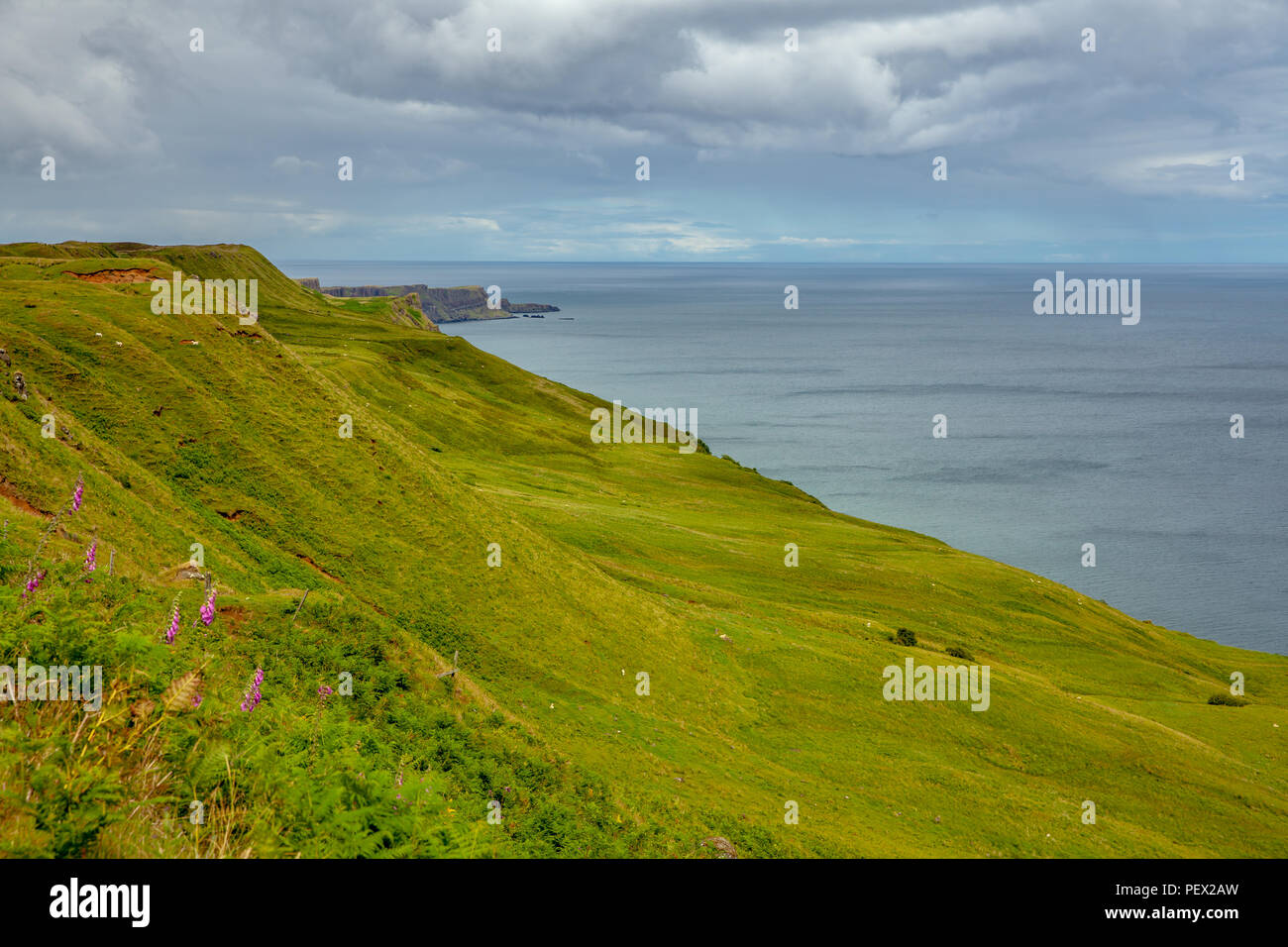 Green Pasture coast landscape at the Isle of Skye Scotland Hebrides ...
