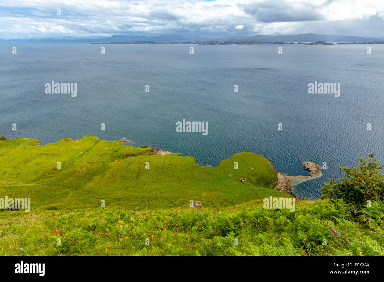 Green Pasture coast landscape at the Isle of Skye Scotland Hebrides ...
