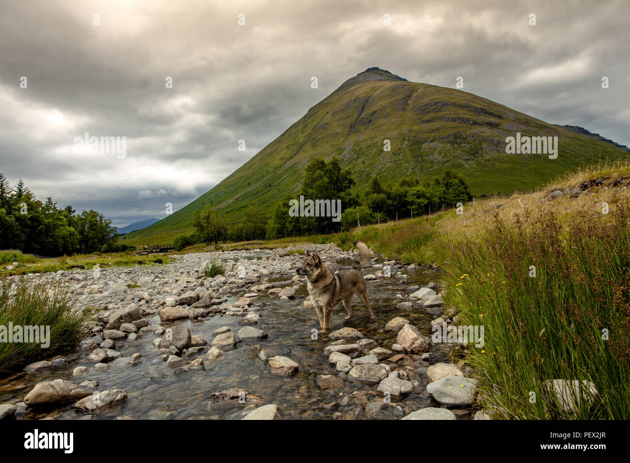 Scotland Highlands Mistic Landscape Scenery in Bridge of Orchy Nature Travel  Great Britan Stock Photo - Alamy