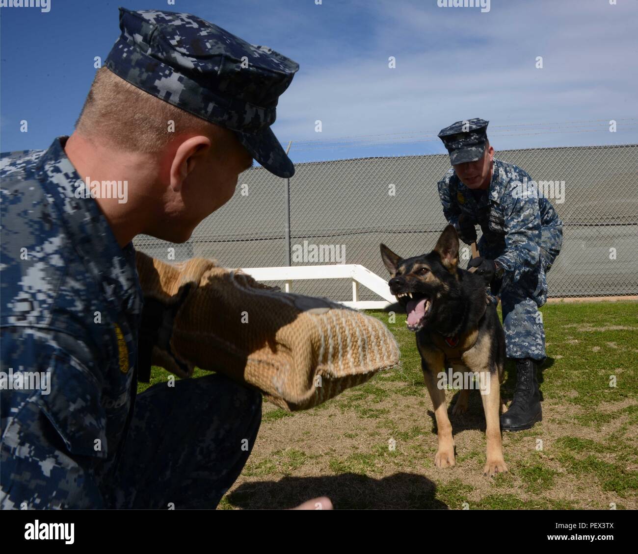 160212-N-IL474-494 SOUDA BAY, Greece (Feb. 12, 2016) Master-at-Arms 1st  Class Michael Langehennig, right, and Master-at-Arms 3rd Class Matthew  Hollingsworth perform controlled aggression training with military working  dog (MWD) Gerry on Naval Support