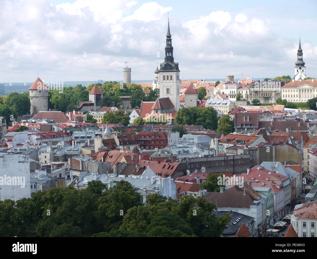 Tallinn old town during summer time from above Stock Photo