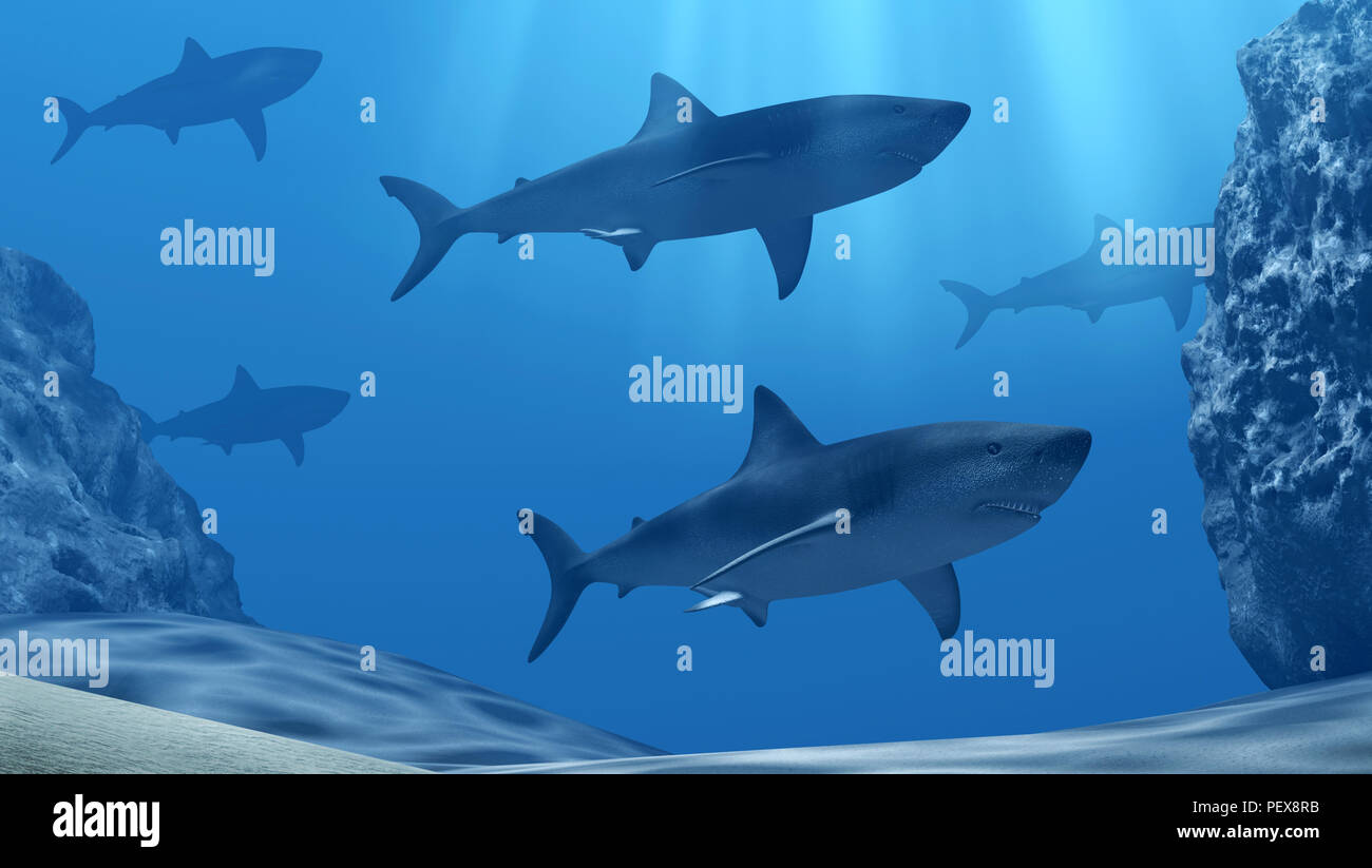 Flock of sharks underwater with sun rays and stones in deep blue sea Stock Photo