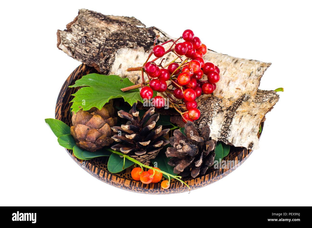 Natural materials for Christmas crafts. Studio Photo Stock Photo