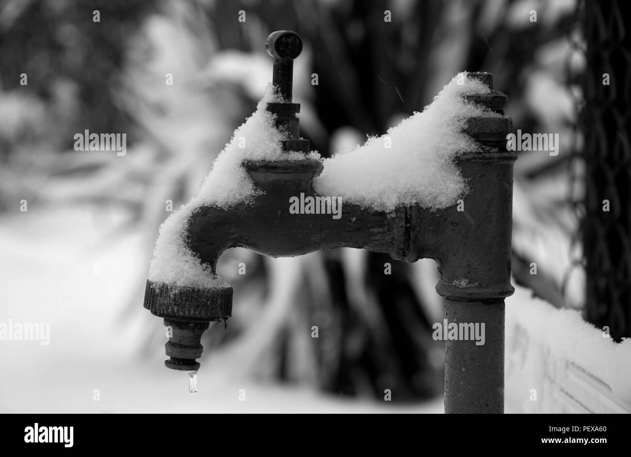 An outdoor water tap during winter Stock Photo Alamy