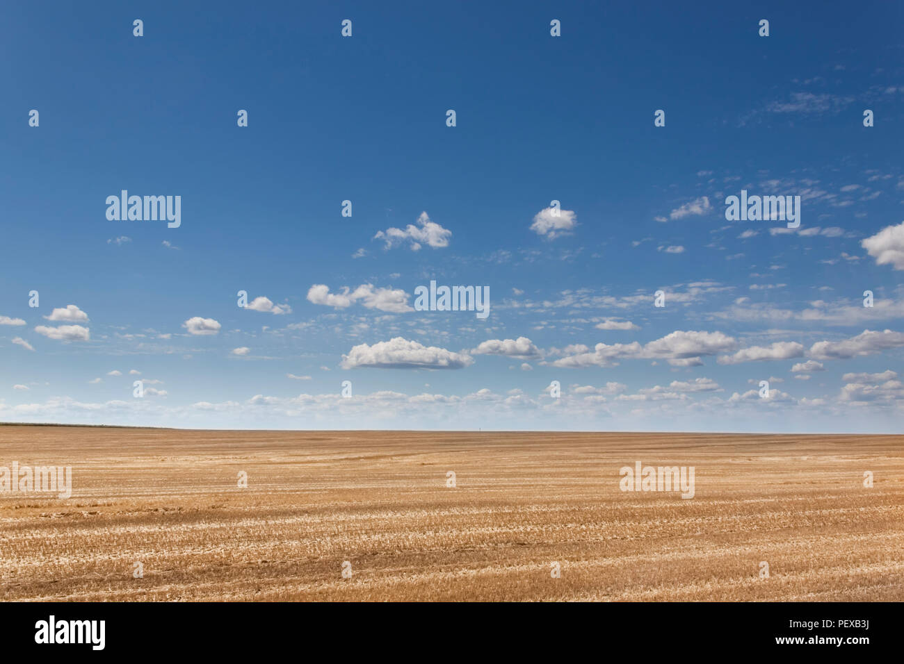Boundless fields after harvest in Summer time Stock Photo - Alamy