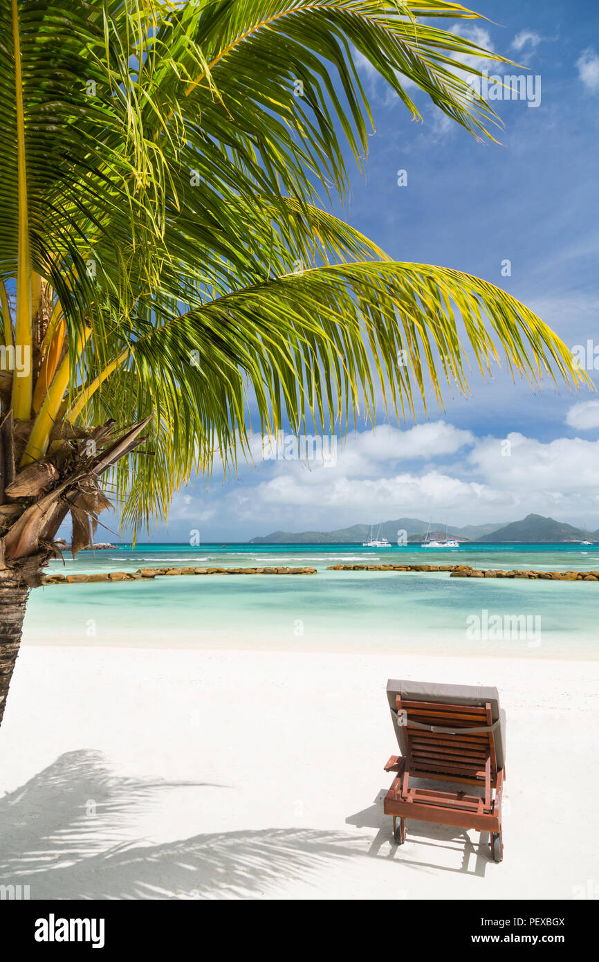 A beach chair at a perfect white beach in La Digue, Seychelles with a colorful coconut palm tree in the foreground Stock Photo
