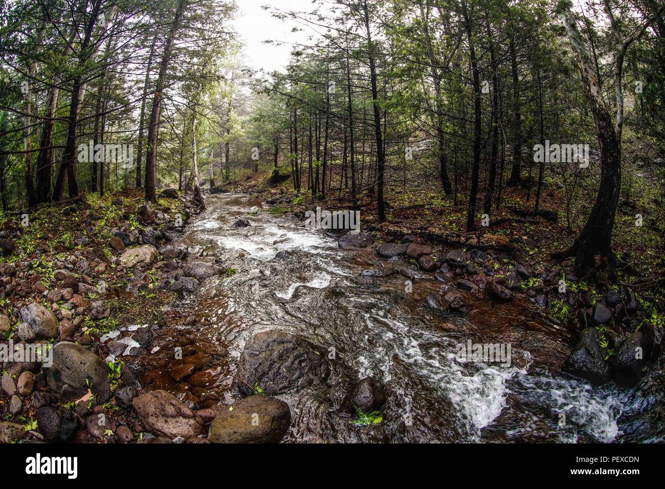 Flujo de datos hi-res stock photography and images - Alamy