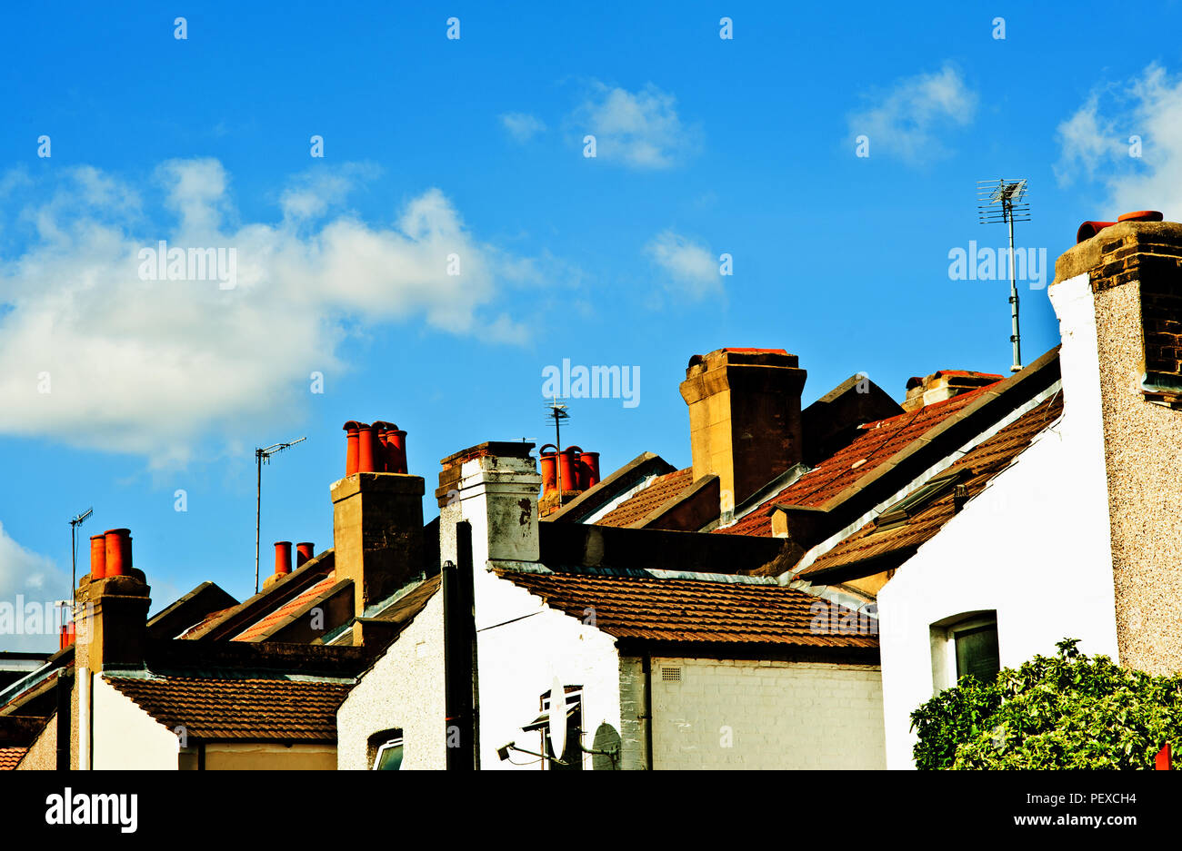 Terrace House rooftops, Plumstead, London, England Stock Photo Alamy