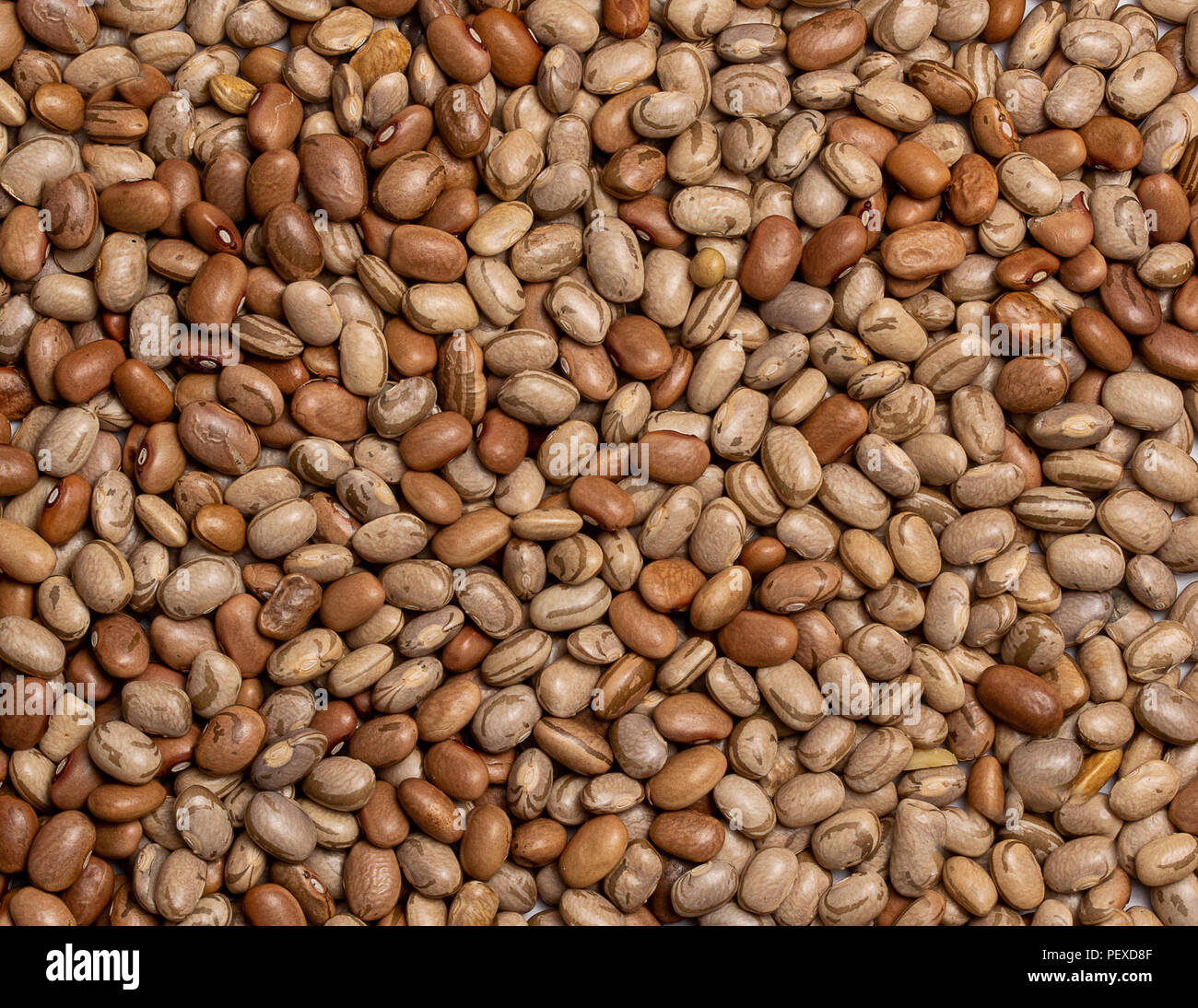 Dark and Light Pinto beans mix closeup macro, full frame texture Stock Photo