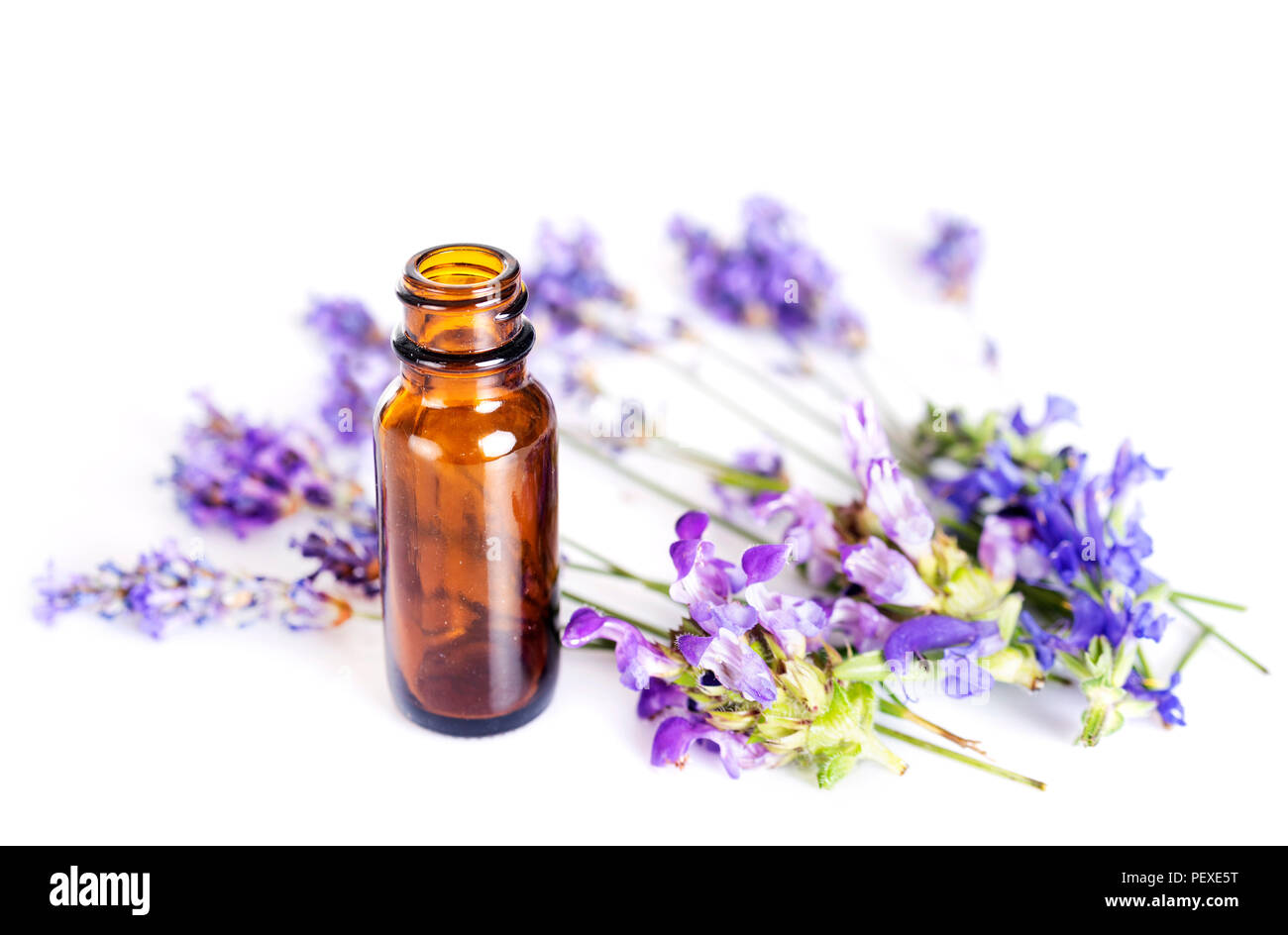lavender and essential oils in front of white background Stock Photo ...