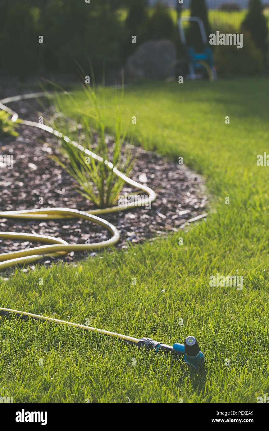 Rubber garden hose laying on lawn and bark garden rim Stock Photo Alamy