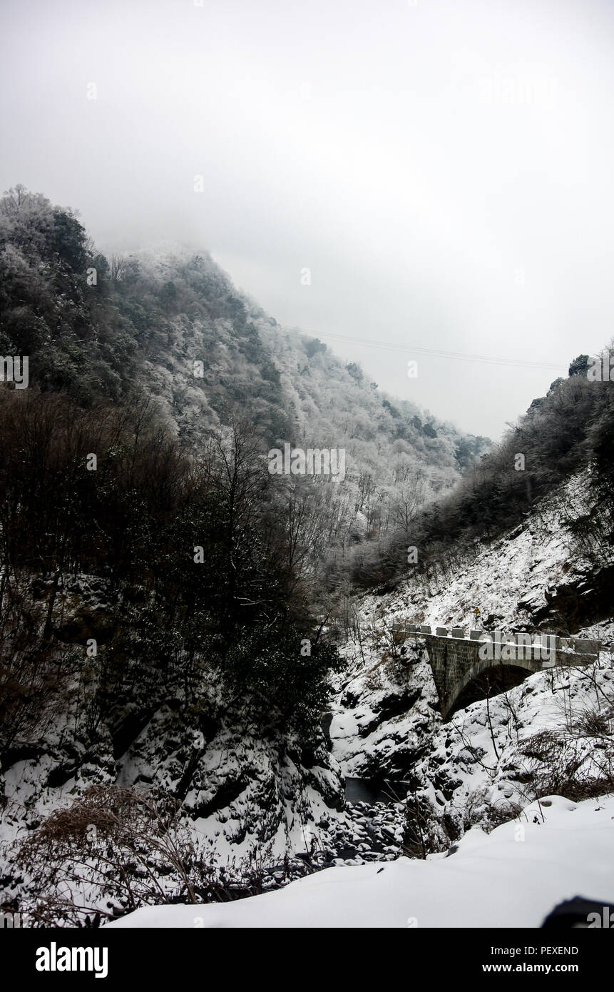 Snow Mantled The Ground in Winter Stock Photo Alamy