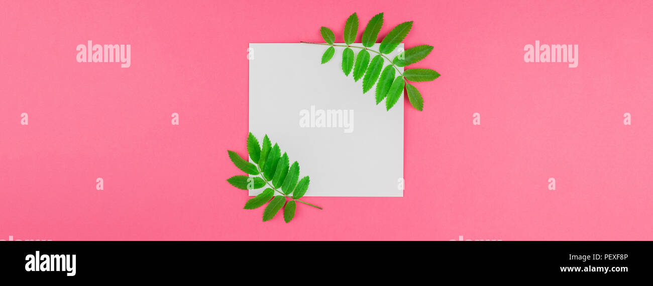 Creative flat lay top view white letter mock up with fresh green rowan ...