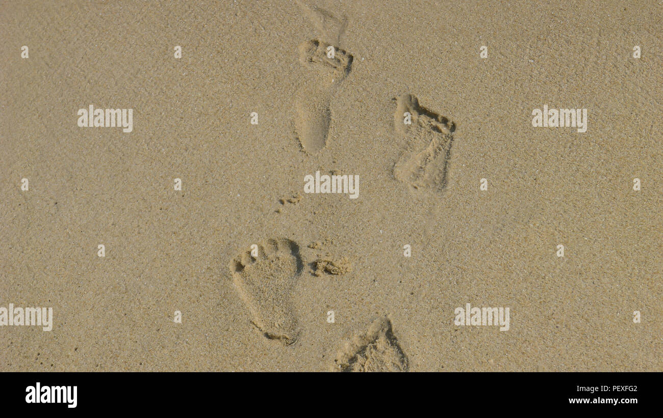 A Trail of Footprints in the Sands Stock Photo Alamy