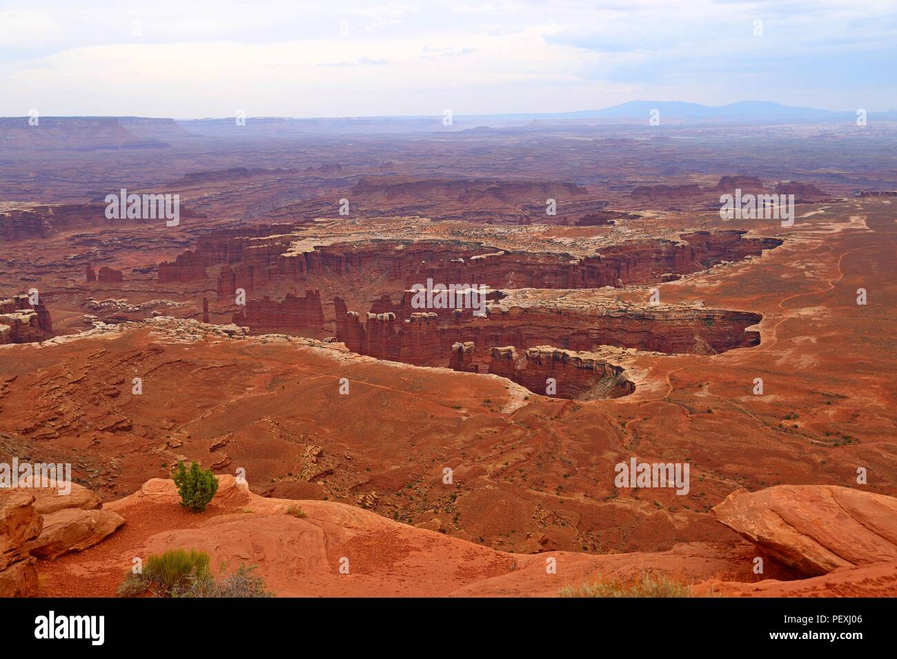 Green River Overlook, Island in the sky district, Canyonlands National
