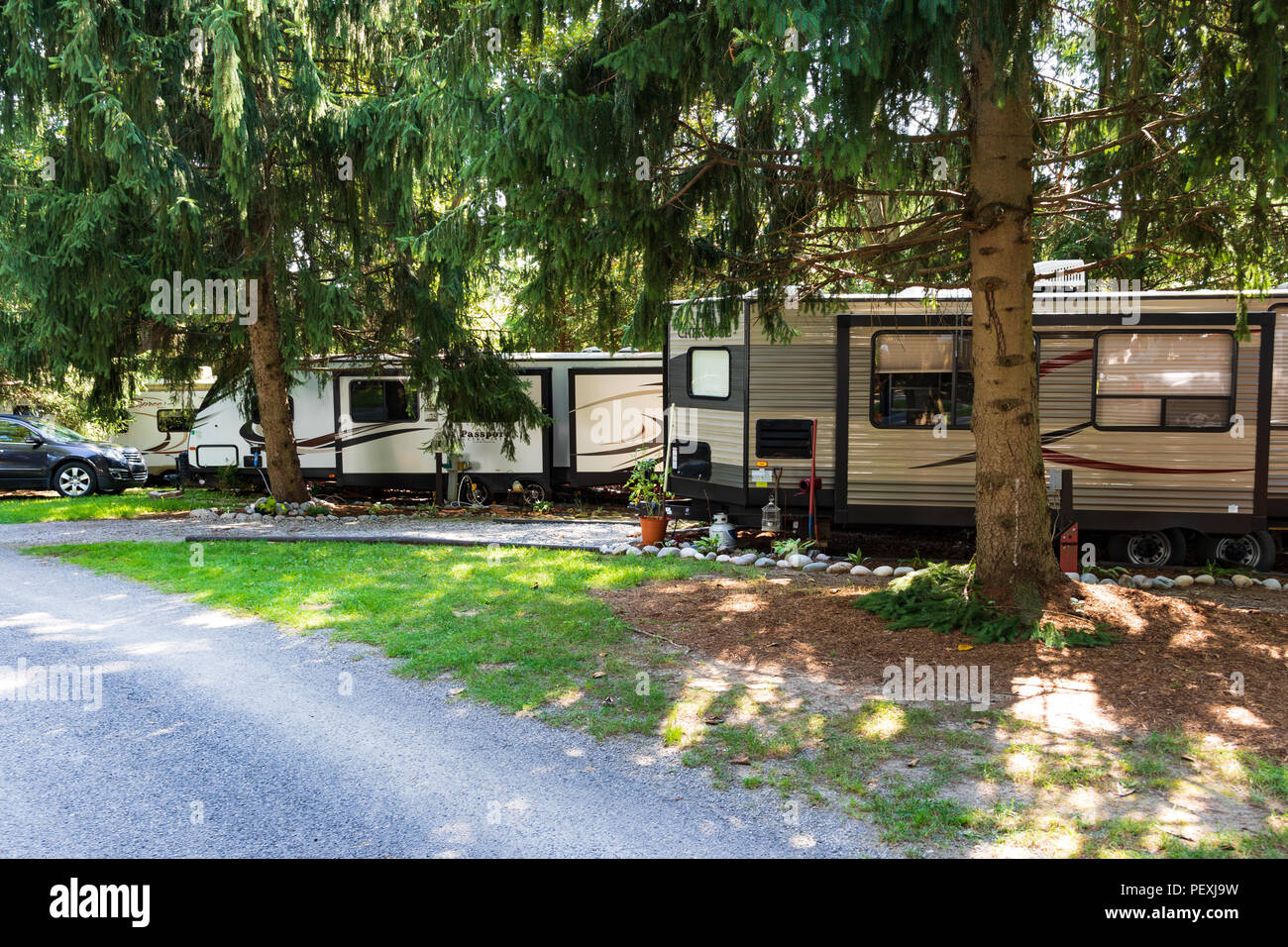 PORTERSVILLE, PA, USA-12 AUGUST 2018: RV trailers lined up under a canopy of evergreens in Bear Run park in west-central Pennsylvania. Stock Photo