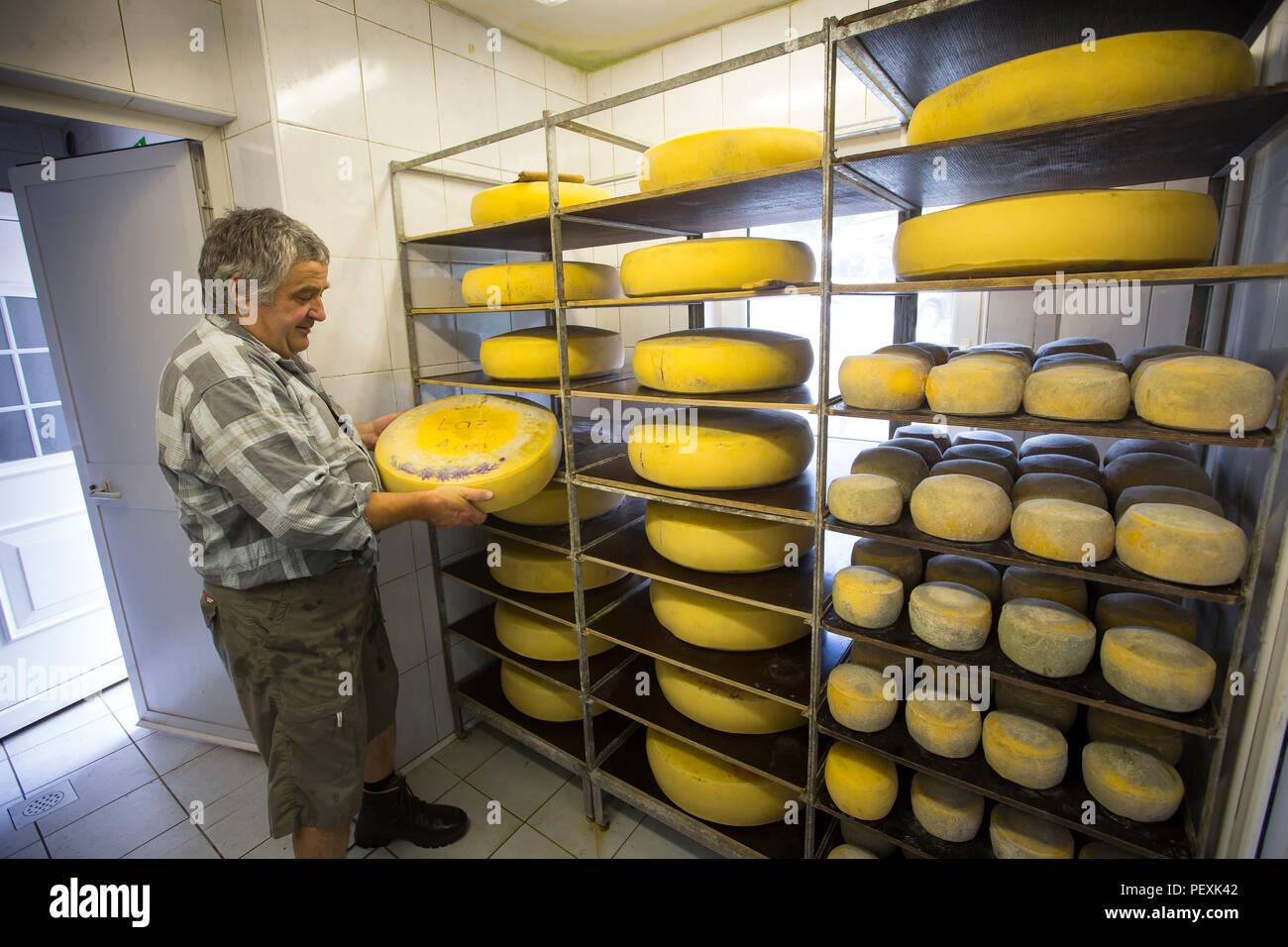 Farmer making Bohinj mountain cheese, Slovenia Stock Photo