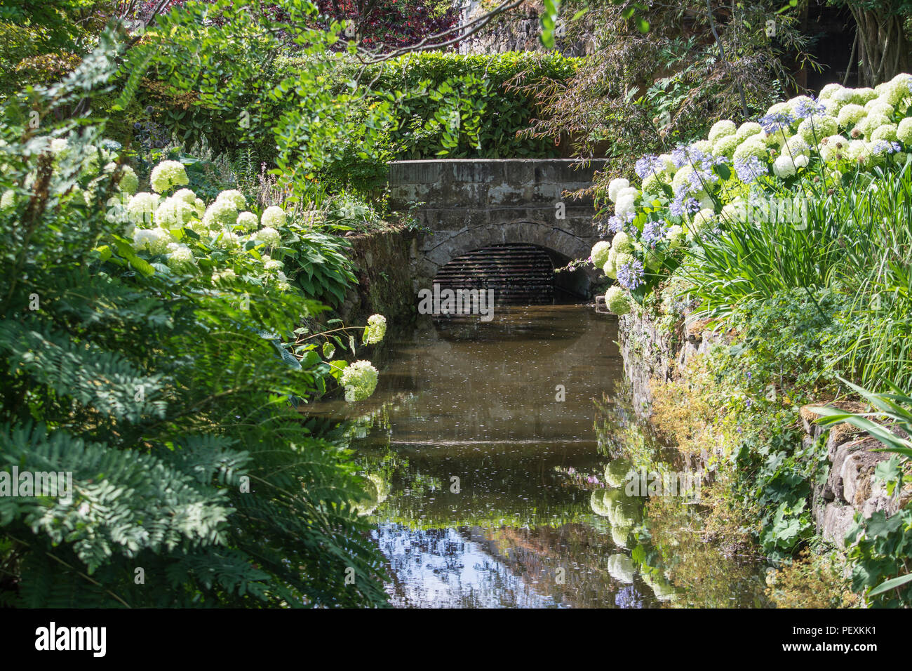 Water feature and flower border at Melbourne Hall and Gardens, Derbyshire, UK Stock Photo