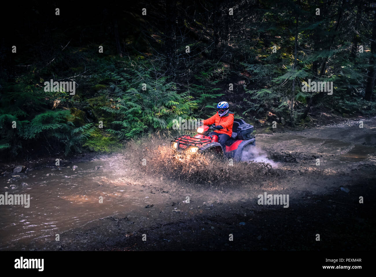 Man driving quadbike, Callaghan Valley, Whistler, British Columbia, Canada Stock Photo