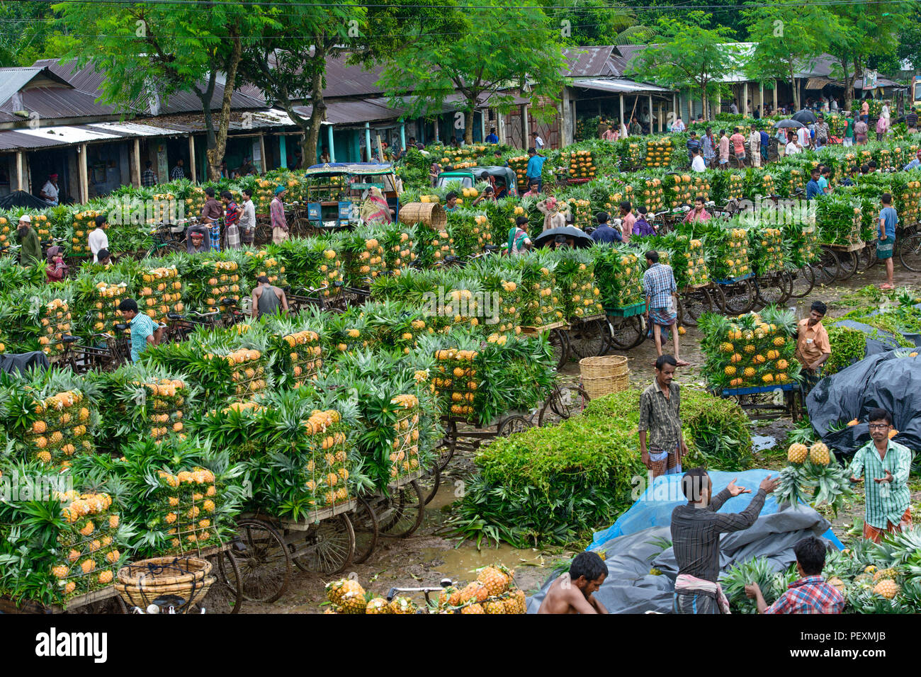 pineapple market Stock Photo