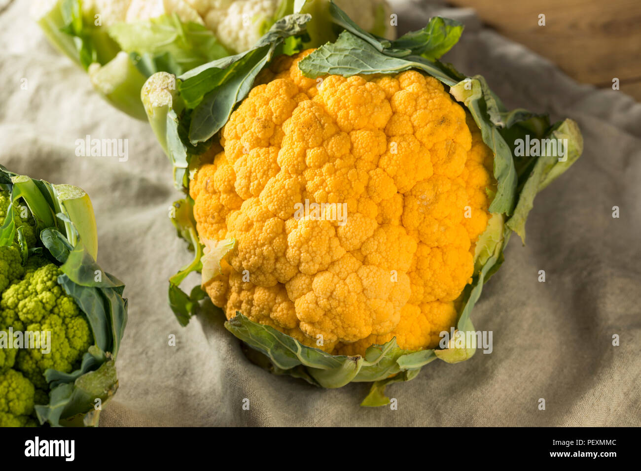 Green purple orange colored hi-res stock photography and images - Alamy