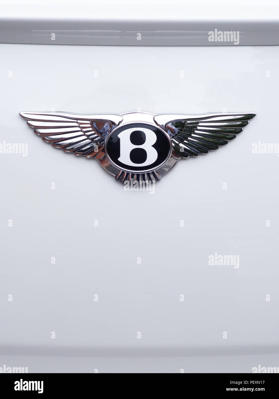 Closeups of the Bentley Wings Badge on White Bentley Continental GT car. Property released Stock
