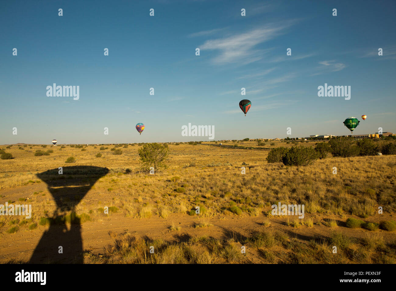 Hot air balloons flying in Albuquerque, New Mexico, USA Stock Photo