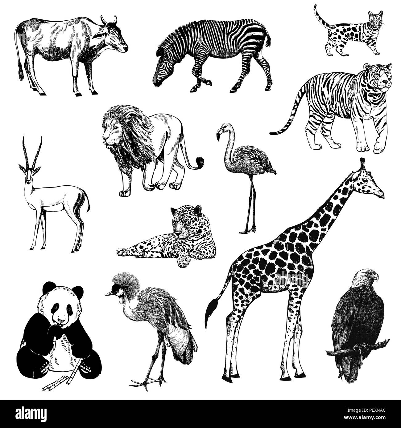 Set of hand drawn sketch style animals isolated on white background. Vector illustration. Stock Vector