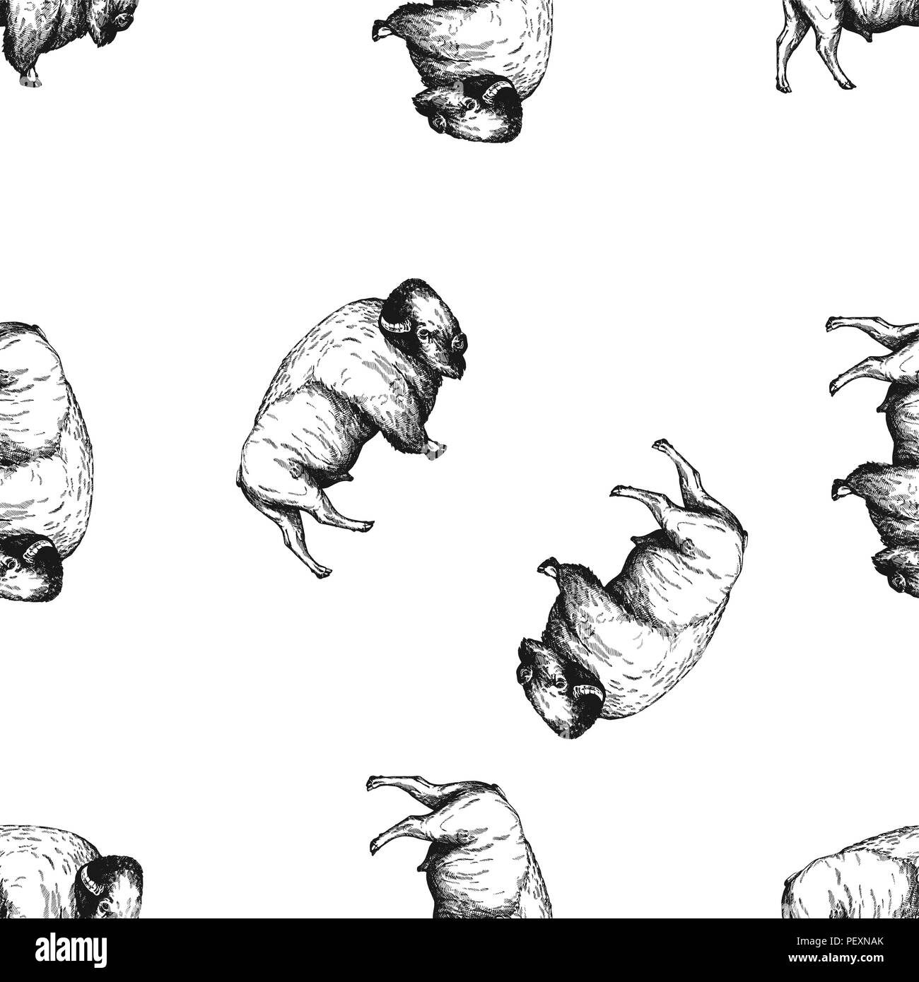 Seamless pattern of hand drawn sketch style bison isolated on white ...
