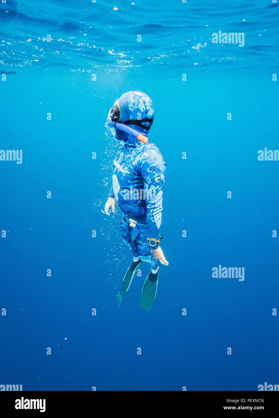 Free diver underwater Stock Photo