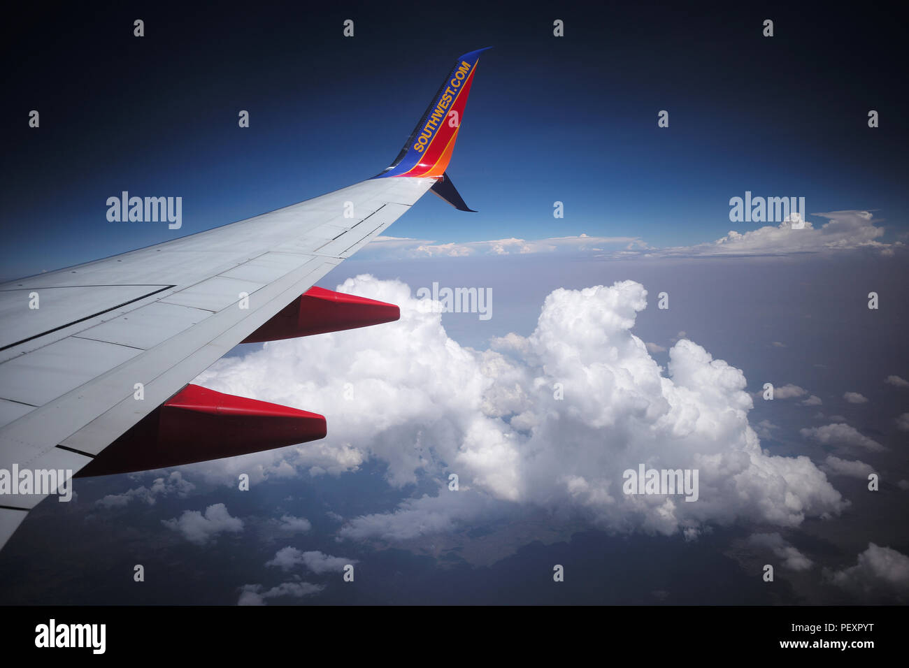 Southwest jet flies over clouds. Stock Photo