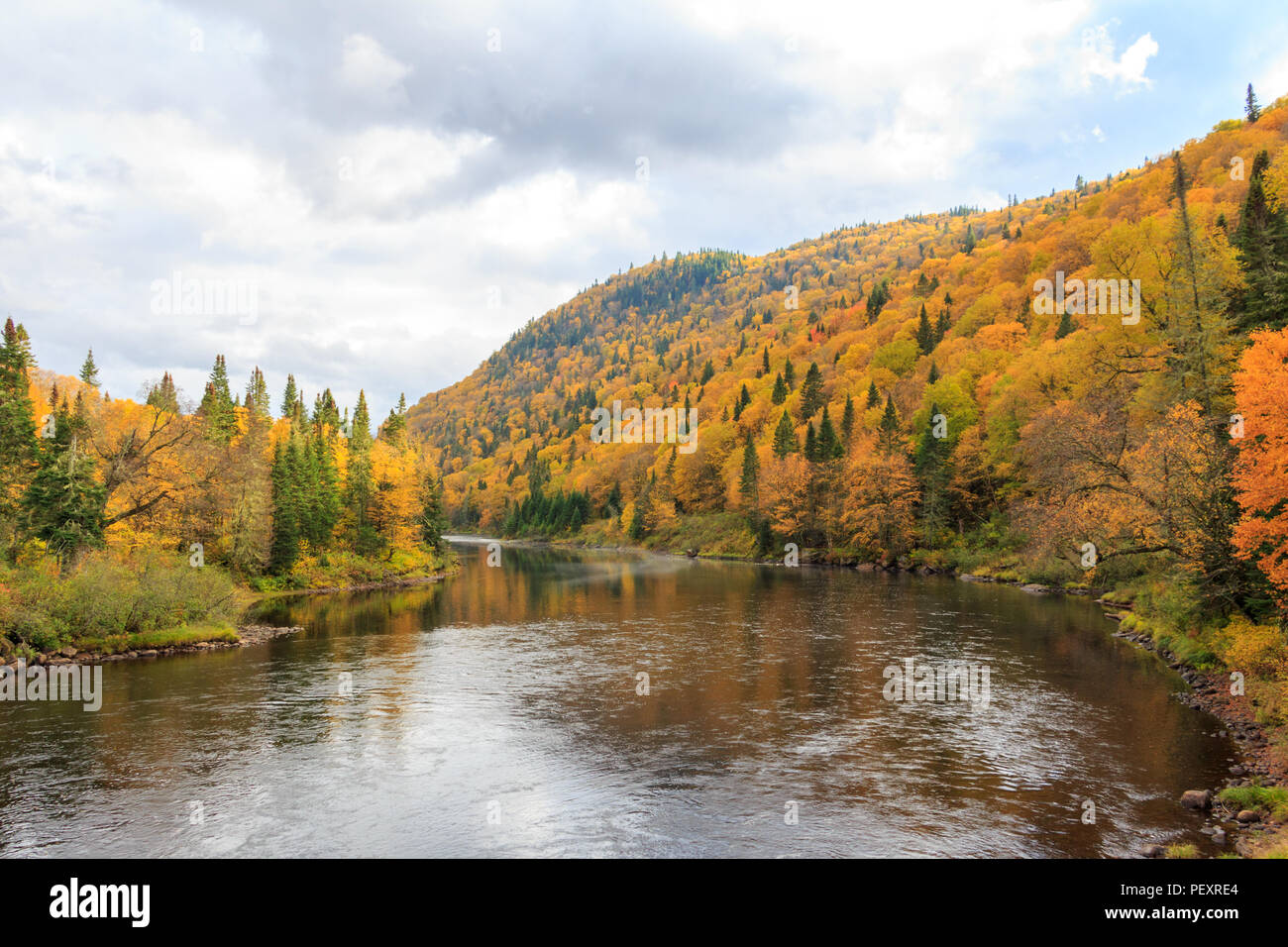 Beautiful river with Autumn color trees on the side Stock Photo - Alamy