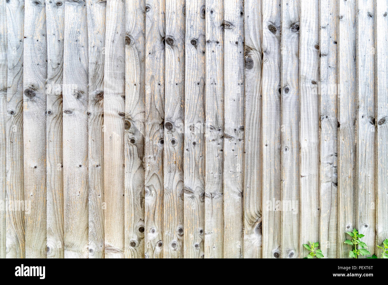 Slatted wooden fence with multiple knots Stock Photo
