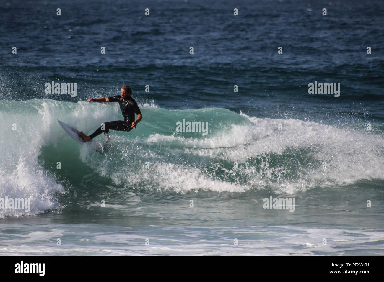 Surfer Dude Stock Photo