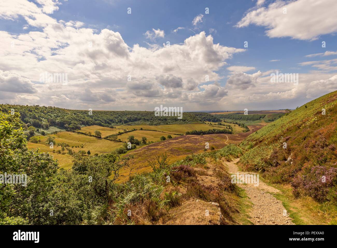 A deep and long valley cut into the North York Moors The moor stretches ...