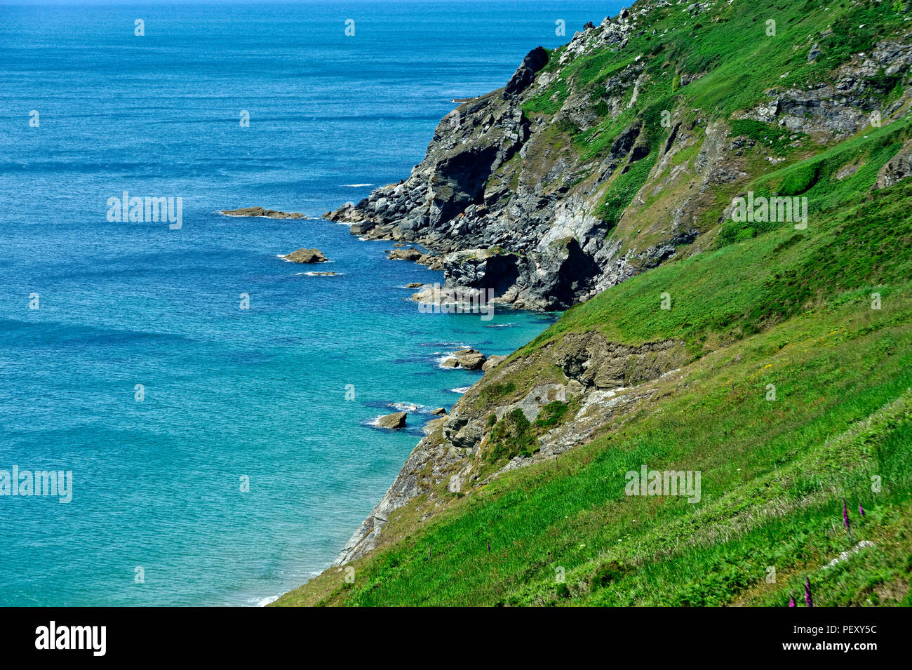 A section of the southwest coastal footpath near Hope Cove in the South Hams Devon uk Stock Photo