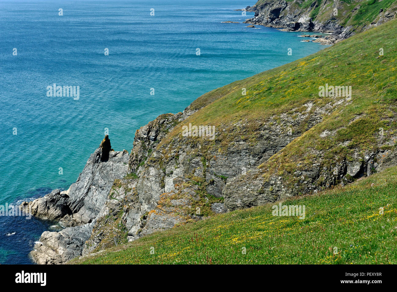 A section of the southwest coastal footpath near Hope Cove in the South Hams Devon uk Stock Photo