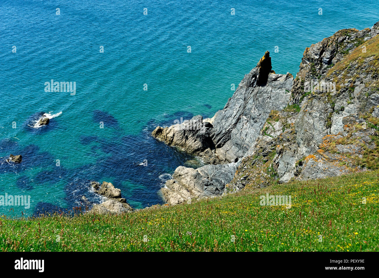 A section of the southwest coastal footpath near Hope Cove in the South Hams Devon uk Stock Photo