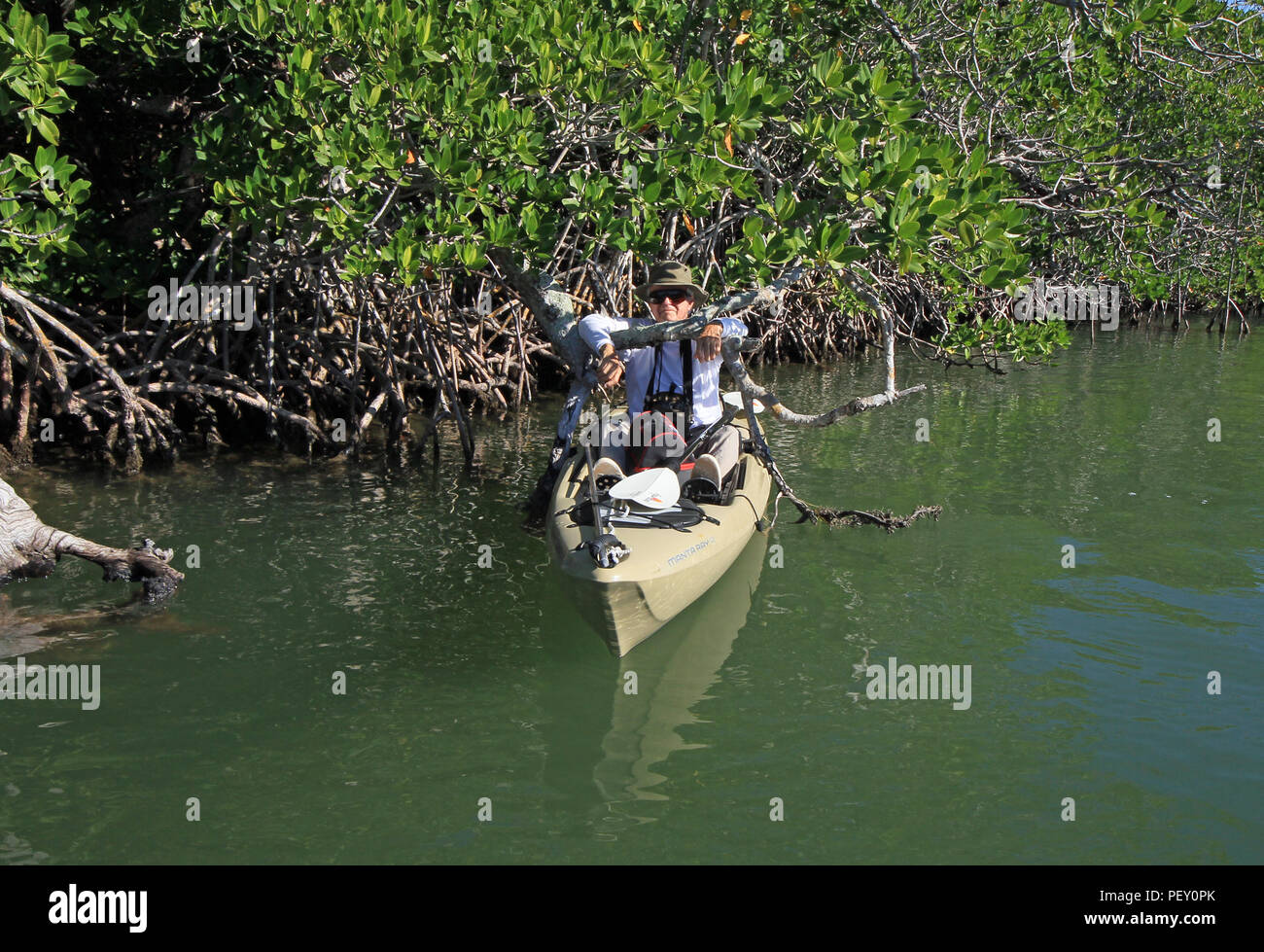 Active senior taking a break while kayaking amidst the mangroves of Card Sound, Florida, just east of Key Largo. Stock Photo