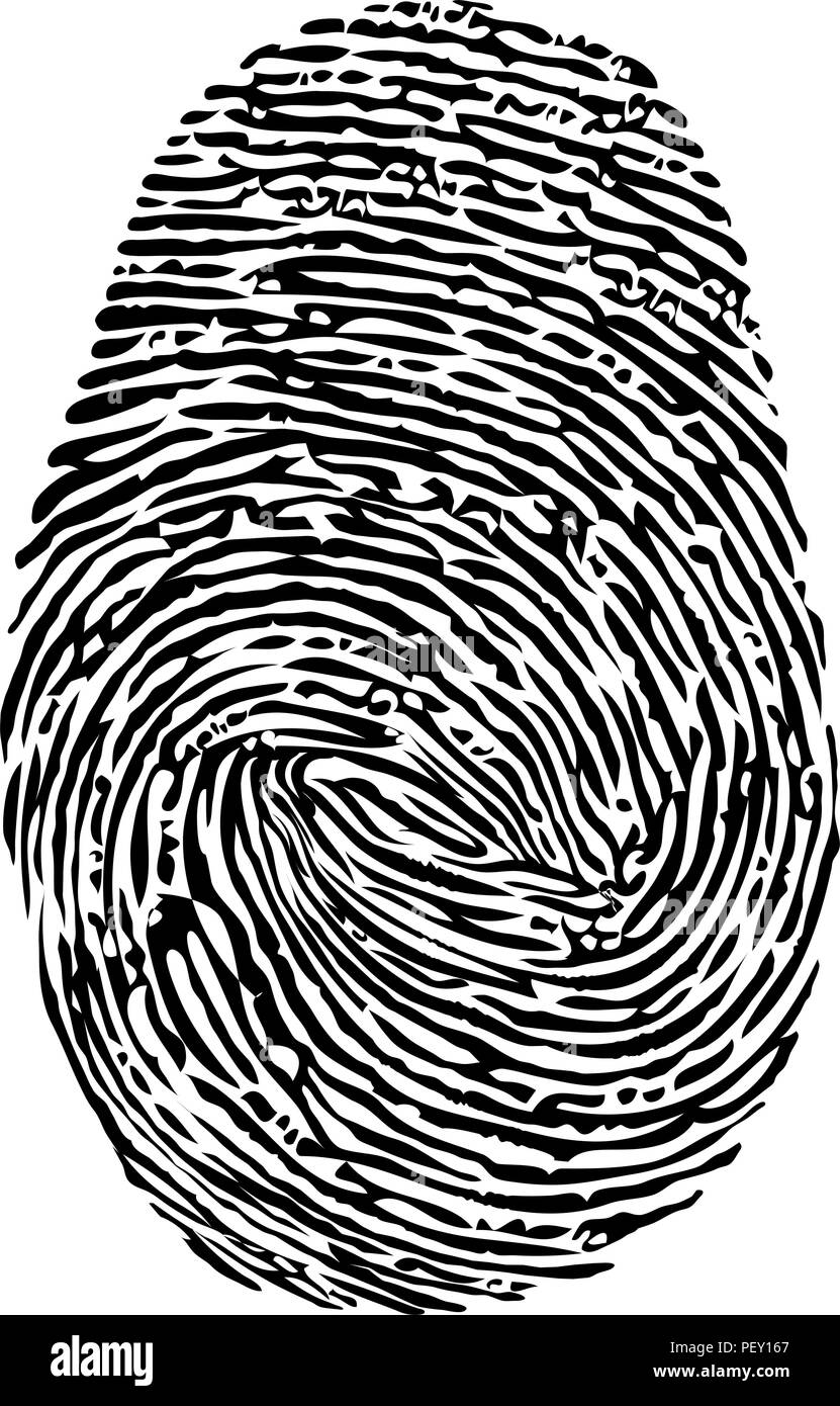 vector fingerprint icon. black finger print symbol isolated on white background. thumbprint security unique id, crime identity illustration. human thu Stock Vector