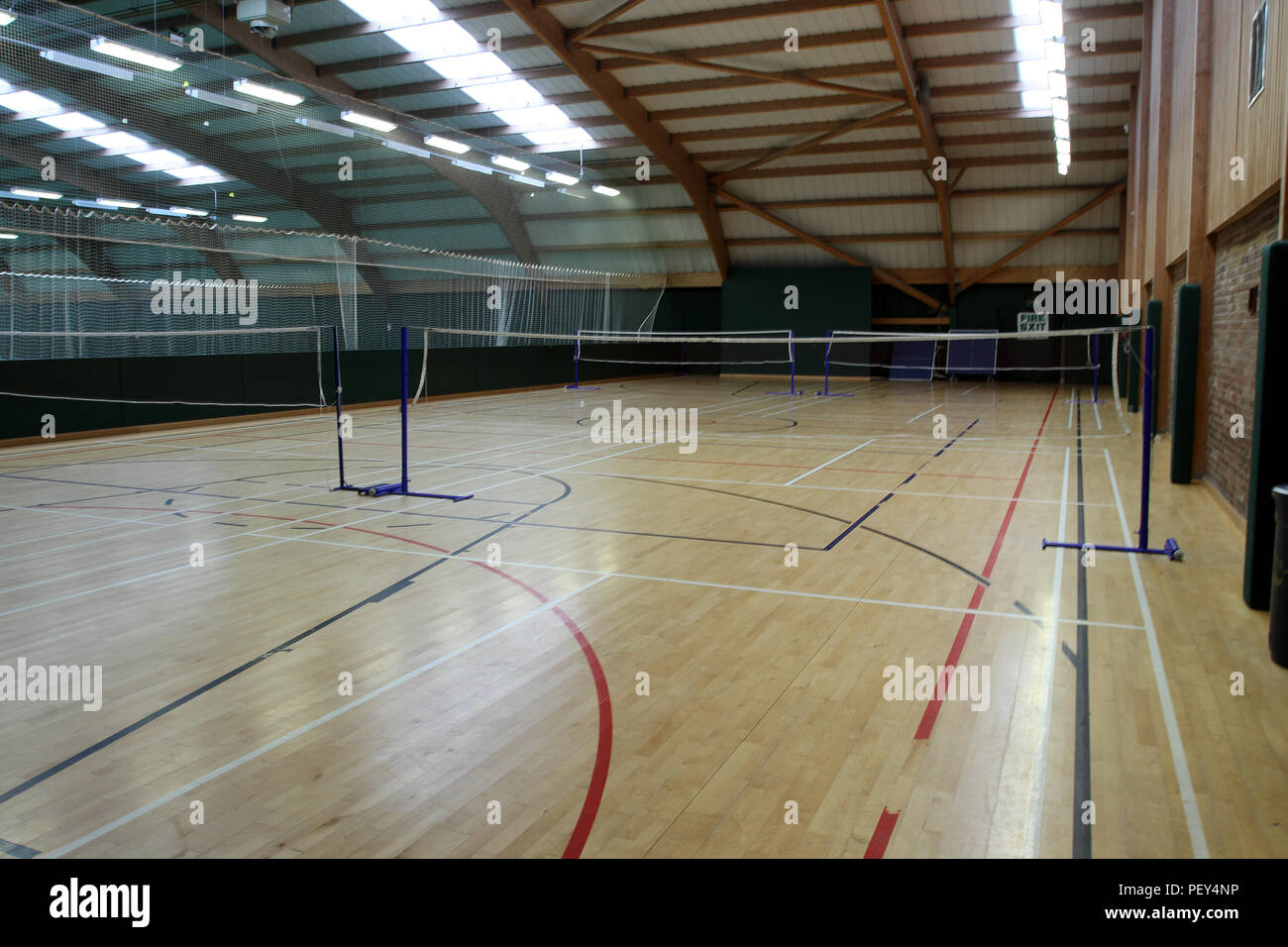 DAVIS LLOYD GYM intelligence overview