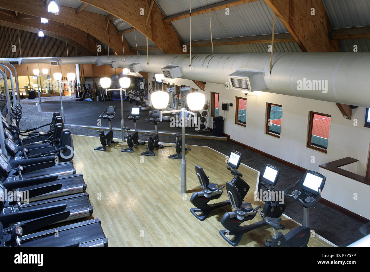 DAVIS LLOYD GYM visual data 3