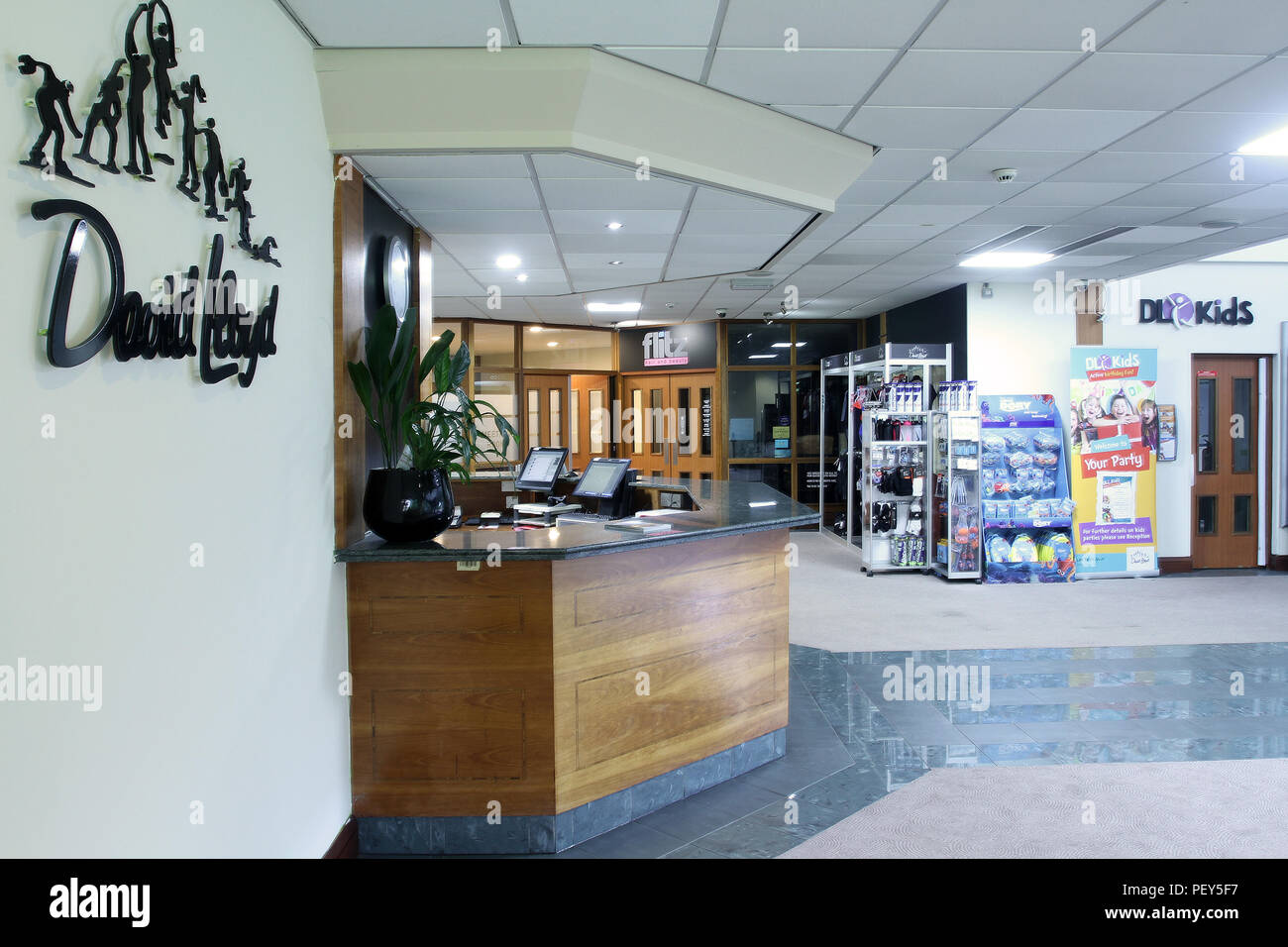 DAVIS LLOYD GYM visual data 2