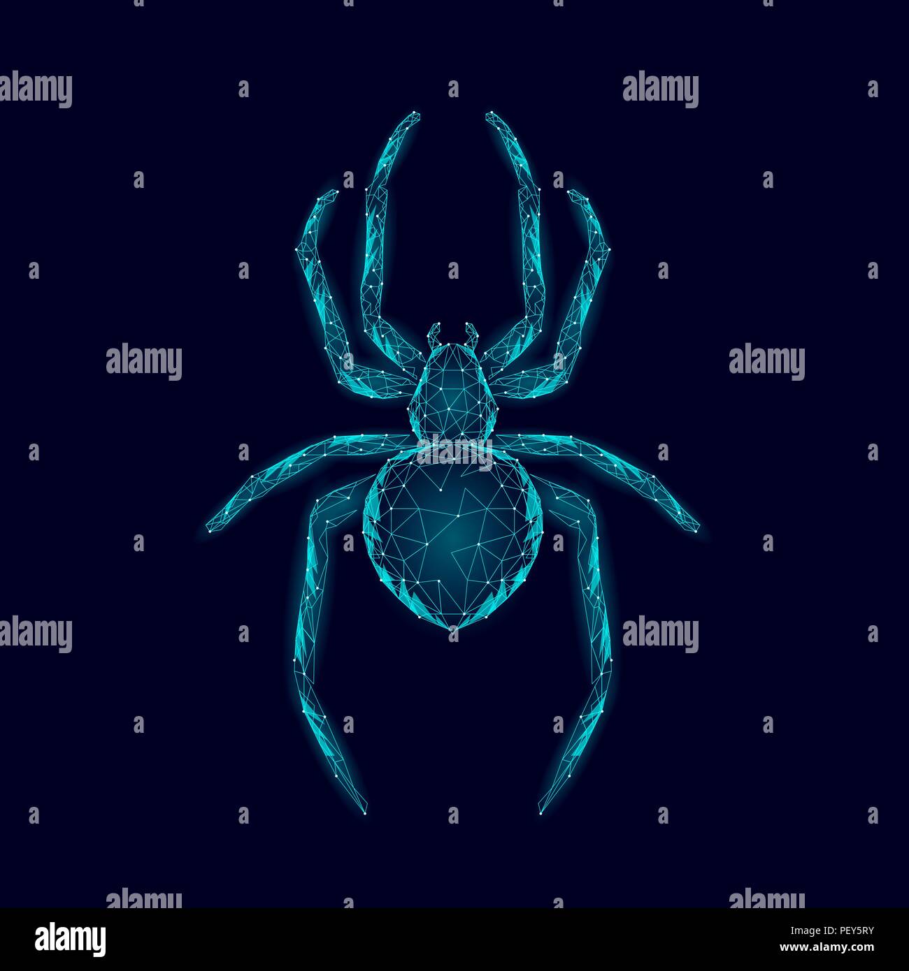 Low poly spider dangerous arachnids. Web security virus data safety antivirus concept. Polygonal modern blue glowing design business concept. Cyber crime web insect technology vector illustration Stock Vector