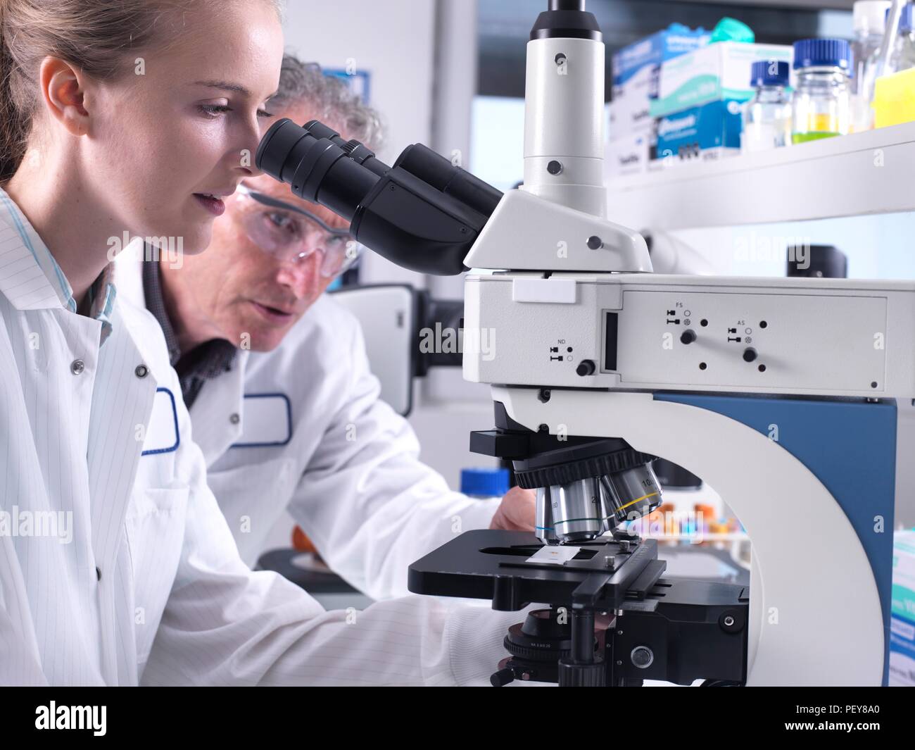 Scientists viewing a sample on a glass slide under a light microscope. Stock Photo