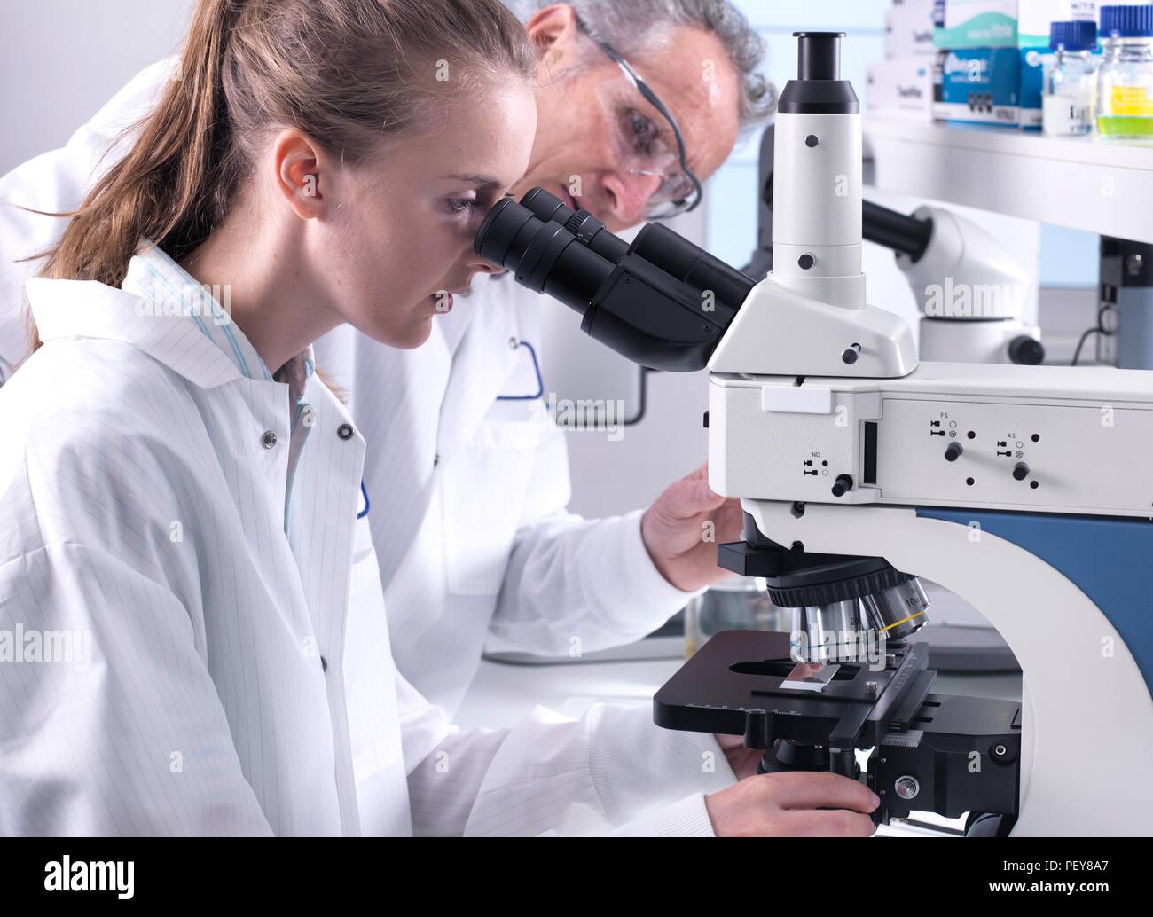 Scientists viewing a biological sample on a glass slide under a light microscope Stock Photo Alamy