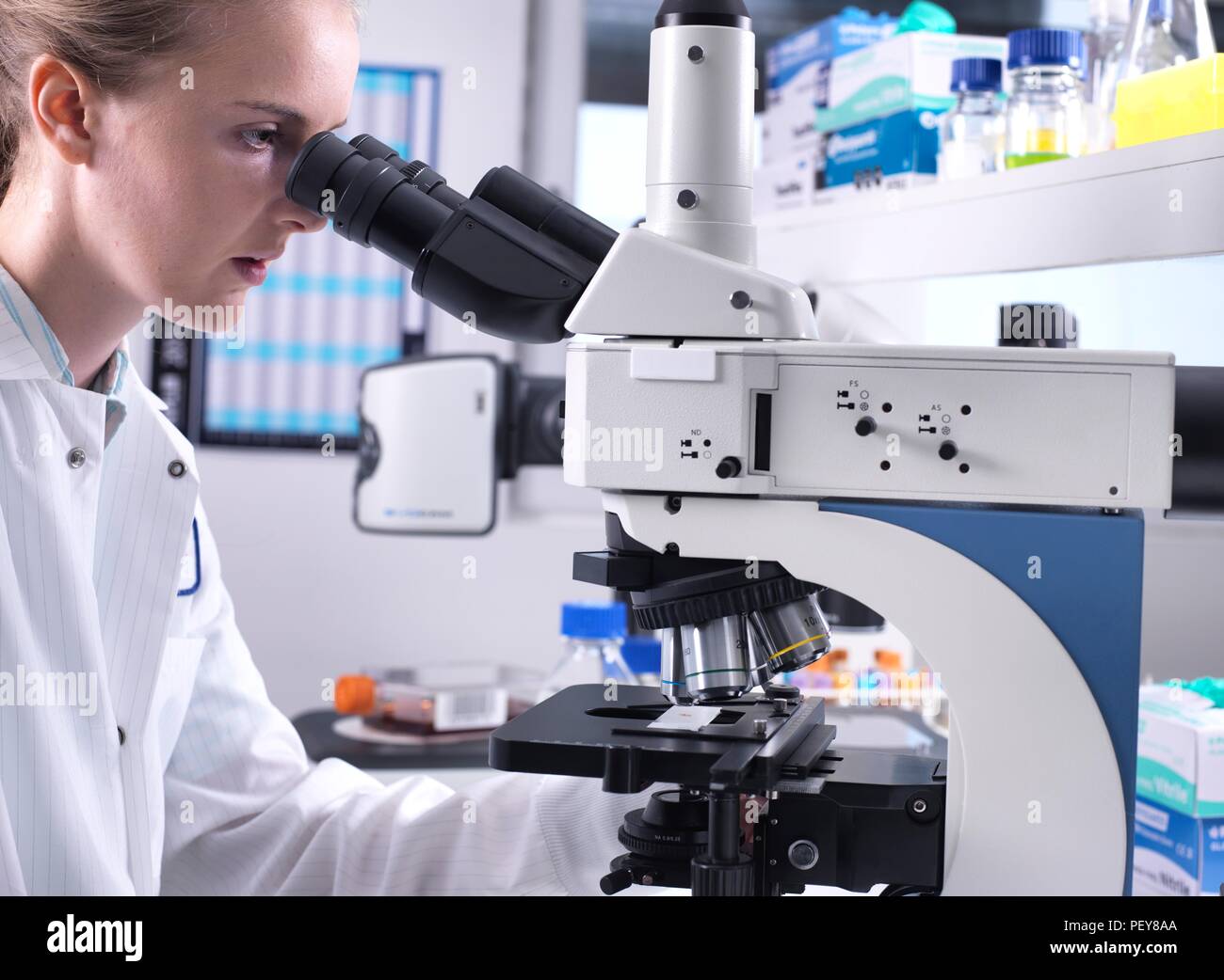 Scientists viewing a biological sample on a glass slide under a light