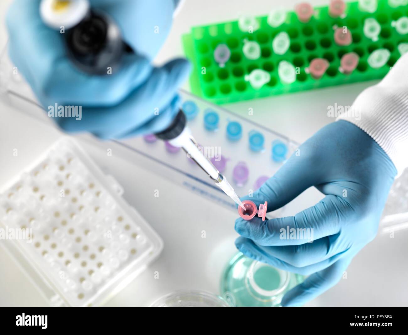 Scientist preparing a sample in an Eppendorf tube for chemical analysis. Stock Photo